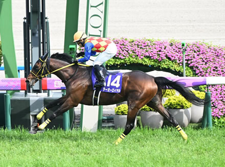 https://livedoor.blogimg.jp/ltdslip2000/imgs/2/7/27101916.jpg