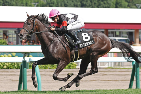 【競馬予想】[1]第75回スプリングステークス(GⅡ) /2026