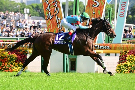 アドマイヤズームvsエンブロイダリー 安田頂上決戦！？