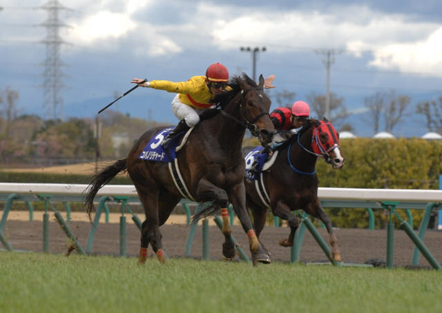 競馬 心震えるガッツポーズ集めろ うまなみ 競馬にゅーす速報