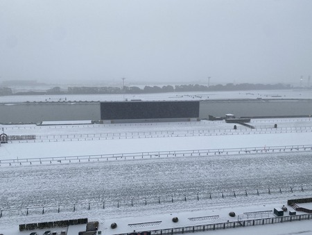 【京都競馬】明日の開催ってどうなるの？