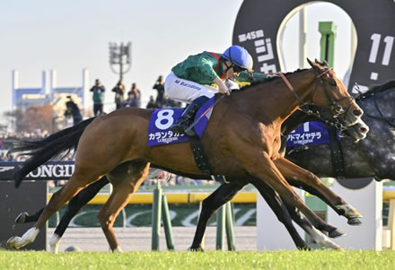 【カランダガン】サンクルー大賞→キングジョージ→英チャンピオン→JC制覇ってヤバくね？