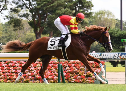 【競馬予想】[1]第30回函館スプリントステークス(GIII)