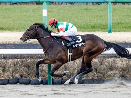 バーデンヴァイラー、川崎競馬に移籍