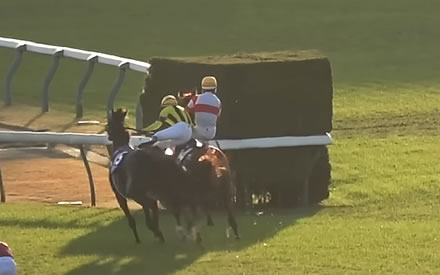 【チャンピオンズC】戸崎ピンチ！JCレース後落馬負傷でナルカミ鞍上未定か