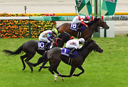 ｎｈｋマイルカップ 大反省会 うまなみ 競馬にゅーす速報
