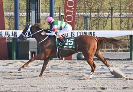 3歳ダート馬を格付けしあうスレ