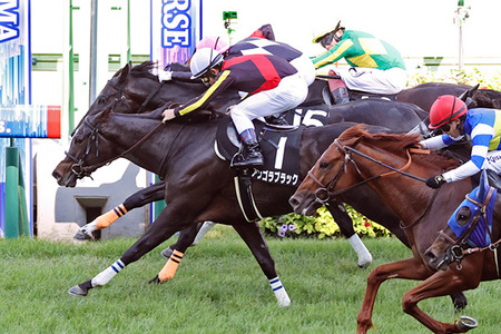 【競馬予想】 第75回中山金杯(GⅢ) /2025