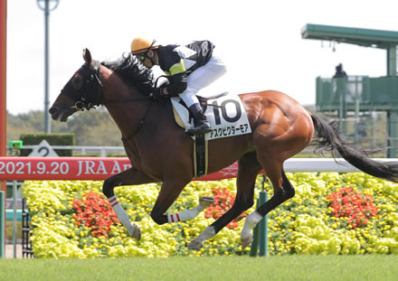 顕彰馬選定投票にアスクビクターモアに謎の1票ｗｗｗｗ