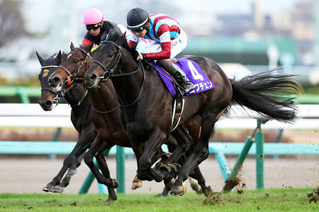 【競馬予想】[2]第60回共同通信杯(GⅢ) /2026