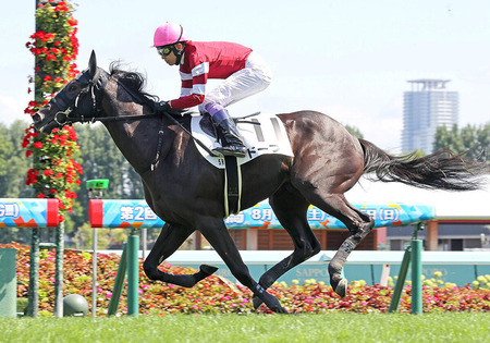 2歳新馬 ドーブネ普通に強くてワロタwww うまなみ 競馬にゅーす速報