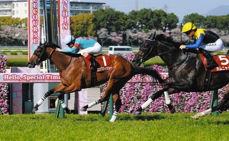 【阪神牝馬S】1番人気エンブロイダリーが逃げ切りＶ！重賞4勝目