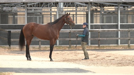 フォーエバーヤング 帰厩時馬体重580キロ！！