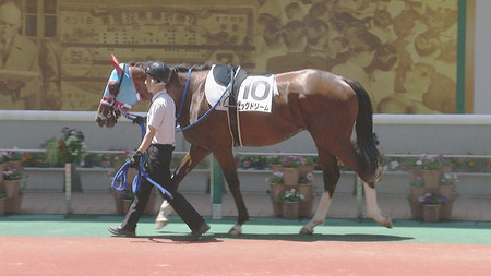 【競馬予想】第43回小倉2歳ステークス(GⅢ) /2023