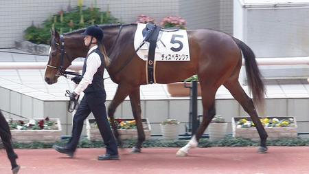 【競馬予想】第33回アーリントンカップ(GⅢ) / 2024