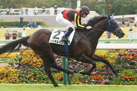 【競馬予想】[1]第66回京成杯(GⅢ) /2026