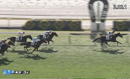 6億馬エムズビギン快勝！未勝利脱出