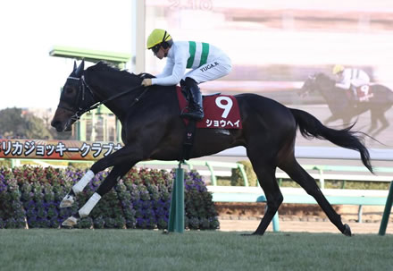 【AJCC】ショウヘイが好位抜け出しでＶ！重賞2勝目
