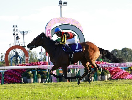 【エリザベス女王杯」1番人気レガレイラが快勝！Ｇ１･３勝目