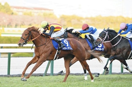 【阪神JF】2番人気スターアニスが混戦制し2歳女王！アランカールは5着