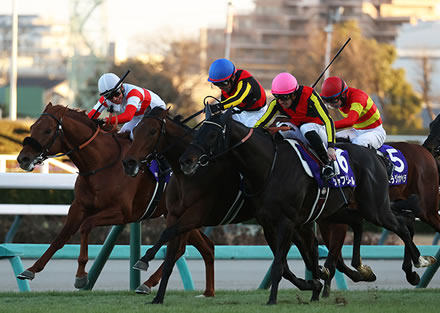 【宝塚記念】レガレイラの取捨選択が難しすぎる