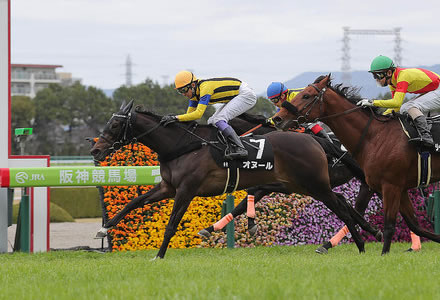 アルメリア賞 超良血オヌールが無傷の2勝目 うまなみ 競馬にゅーす速報