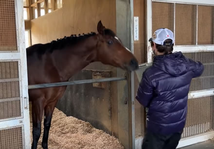 ドウデュースの飯に食いつく速度ｗｗｗ