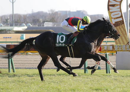 グロンディオーズが骨折 全治3ヶ月以上 うまなみ 競馬にゅーす速報