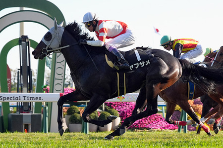 【競馬予想】[2]第31回シルクロードステークス(GⅢ) /2026