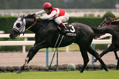 shonan