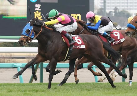 【日経賞】重賞初挑戦シュトルーヴェ(セン5)が差し切りV！11戦目で重賞初制覇