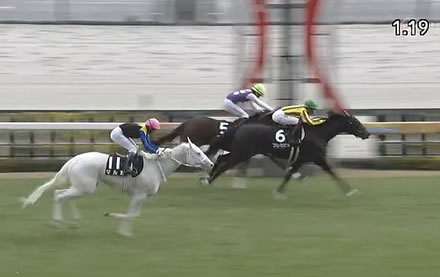 【つわぶき賞】マルガとは何だったのか