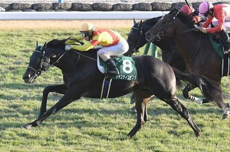 【京都2歳S】波乱！9番人気ジャスティンビスタ大外から差し切りV！1番人気バルセシートは7着