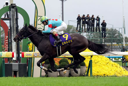 JRAさん、勝馬エネルジコのジョッキーカメラ公開なし