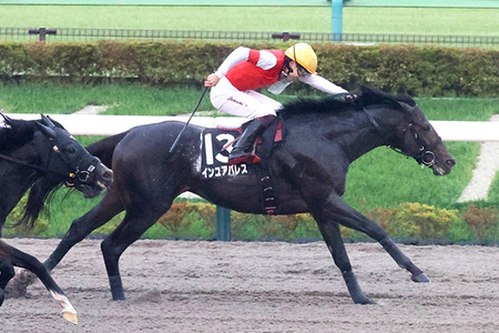 【競馬予想】[2]第40回根岸ステークス(GⅢ) /2026