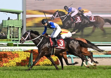 【ニュージーランドＴ】6番人気レザベーションが押し切って重賞初勝利