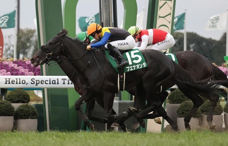 【京都金杯】ブエナオンダがゴール前差し切り重賞初制覇！3連単は大波乱