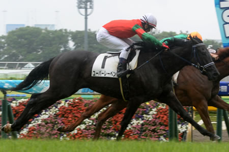 マイネル馬ユーバーレーベン 耐えかねてデムーロに騎乗依頼ww うまなみ 競馬にゅーす速報 マイネル馬ユーバーレーベン 耐えかねてデムーロに騎乗依頼ww うまなみ 競馬にゅーす速報