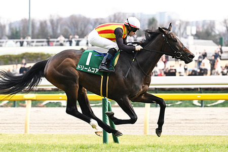 【競馬予想】[2]第86回桜花賞(GⅠ) /2025