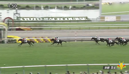 【2歳新馬】6億円馬エムズビギンがデビュー！結果は･･･