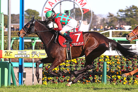 【競馬予想】第74回日経賞(GⅡ) /2026