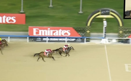 【ドバイWC】フォーエバーヤング2着　逃げるマグニチュードを捕らえ切れず