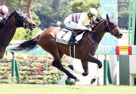 【2歳新馬】ニシノコマチムスメ西山オーナー「この馬走るよ」結果は？