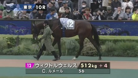 【白富士S】ウィクトルウェルスvsダノンシーマ 勝つのはどっち？