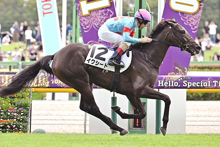 【競馬予想】第40回フラワーカップ(GⅢ) /2026