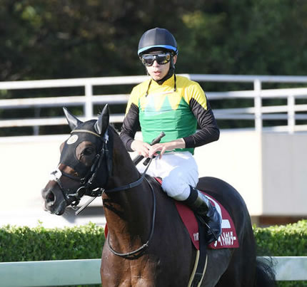 タイトルホルダー横山和生「本当に馬には頭が下がる。次が楽しみ」