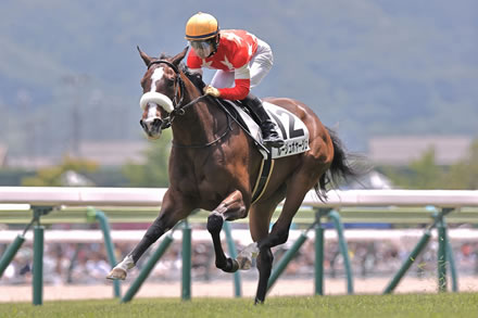 【悲報】新馬圧勝のルージュボヤージュ、無念のクイーンC除外