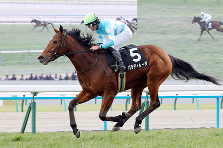 【競馬予想】[1]第44回中山牝馬ステークス(GⅢ) /2026