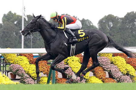 【競馬予想】[1]第42回ホープフルステークス(GⅠ) /2025