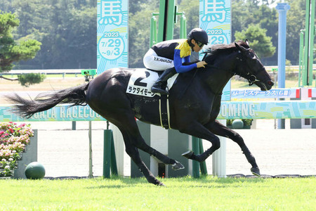 【2歳未勝利】2.2億円馬ラケダイモーン順当に勝ち上がる